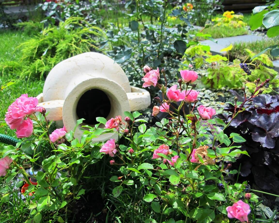 Проект Маленькая Италия